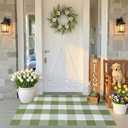 SEEKSEE Buffalo Plaid Outdoor Rug 27.5x43 Grass Green and White Front Door Mat, Layering Rug for Porch, Spring Doormat, Front Porch Rug for Outdoor Entrance Entryway Patio Porch Decor