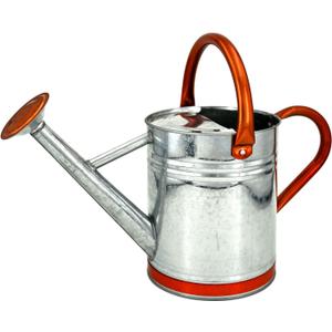 Lechloris Metal Watering Can for Outdoor Plants, Galvanized Steel Watering Can with Removable spout, 1 Gallon,Perfect Home & Garden Dcor Retro Zinc Hue