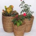 Pot Plant Cover/Planters/Tub in Natural Water Hyacinth Reeds, Set of 3 (1 Extra Free) by RDE Collections