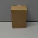 Brizled White Christmas Lights, 33ft 100 LED 5MM Wide Angle Gentle Twinkle Christmas String Lights, 120V UL Certified Connectable Christmas Tree Lights Outdoor Xmas Light for Christmas Tree Party Home