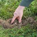 Tomcat Mole Killer(a) - Mimics Natural Food Source, Kills with a Single Feeding, Mole Killer for Lawns and Yards, 12 Worm Baits