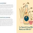Sparkling Wine for Modern Times: A Drinker's Guide to the Freewheeling World of Bubbles
