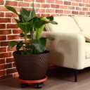 5 Packs Large Plant Caddy with Wheels 13" Rolling Wheeled Plant Stands Heavy-duty Plastic Flower Pot Roller Base Movers Indoor Outdoor Planter Dolly with Casters Trolley, Red