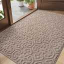 DEXI Front Door Mat Indoor Entrance, 3x5 Non Slip Entryway Doormat Dirt Trapper, Absorbent Entry Mats for Inside House, Patio, Porch, Light Beige