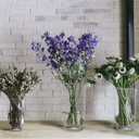 Royal Imports Hurricane Pillar Candle Holder, Clear Glass Flower Vase, Terrarium Planter, Decorative Centerpiece - Use for Floating Tealights, Wedding, Home Display, Holiday - 3 Pc Set, 6", 8" 10"