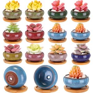 12 Pcs Small Succulent Pots Bulk with Drainage Assorted 2.5 Inch Mini Ceramic Succulent Planters Pot with Coaster Bamboo Saucers Planting Pots for Garden Home Office, 8 Colors