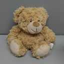 Teddy Bear Stuffed Animals, Microwavable Stuffed Animal Heating Pads for Heat Therapy, Stress Relief Toy for Anxiety, Cuddle, Companion, Bear Plush Gifts for Girls Boys Adults