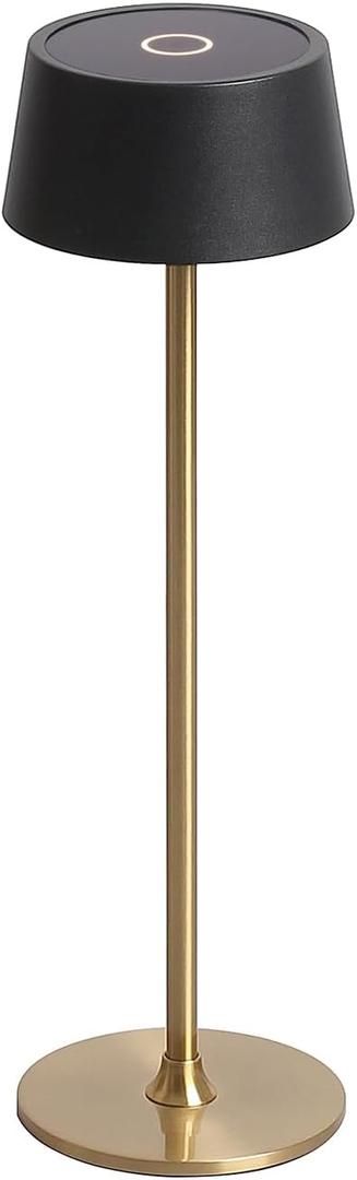 DAWALIGHT Cordless Lamp 4000mAh Rechargeable tbale lamp LED Desk Lamp Tempered Glass Stepless Dimming Black and Gold Battery Operated Portable Cordless 2700K Gold Base