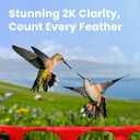 Birdfy Hummingbird Feeder with Dual Cameras - 2K HD Smart Cameras Solar Powered, Close-Up Bird Video/Live Watching & Instant Notifications, Ant Moat & Leakproof - 20oz