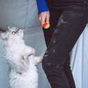 2pcs Mini Portable Lint Roller for Pet Hair, Reusable and Washable Small Sticky Roller Cute Pocket Bell Pepper Shape Dog Cat Hair Remover for Clothes Furniture Car Seats Travel Home Use (Red, Yellow)