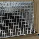 HAVAHART 1079SR Large 1-Door Humane Catch and Release Live Animal Trap Cage - Live Raccoon Trap, for Bobcats, Beavers, Dogs, & More