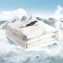 Royoliving Premium White Lightweight Feathers Down Duvet Insert Comforter Queen Size Summer Cooling Blanket, 100% Cotton Cover with Coner Tabs (90x90, 35 oz)