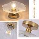 Chandelier, Flush Mount Ceiling Light, Clear Glass Shade Light Fixture, 1 Light Lighting Fixture for Bedroom,Dining Room,Kitchen, Hallway (Clear 4111CL)