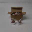 Thanksgiving Decorations Indoor 12 Pack Turkey Flameless LED Candles Battery Operated Tea Lights for Thanksgiving Table Decorations Centerpieces, Mantle, Fireplace, Home, Office, Fall Party Decor