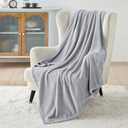 Bedsure Fleece Blanket Twin Size Light Grey - 300GSM Lightweight Plush Fuzzy Cozy Soft Warm Blanket for Bed, Sofa, Couch, Travel, Camping, 60x80 inches