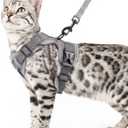 Cat Harness and Leash Set Escape Proof Tactical Large Kitten Harness Emotional Support Cat Vest, Grey, L