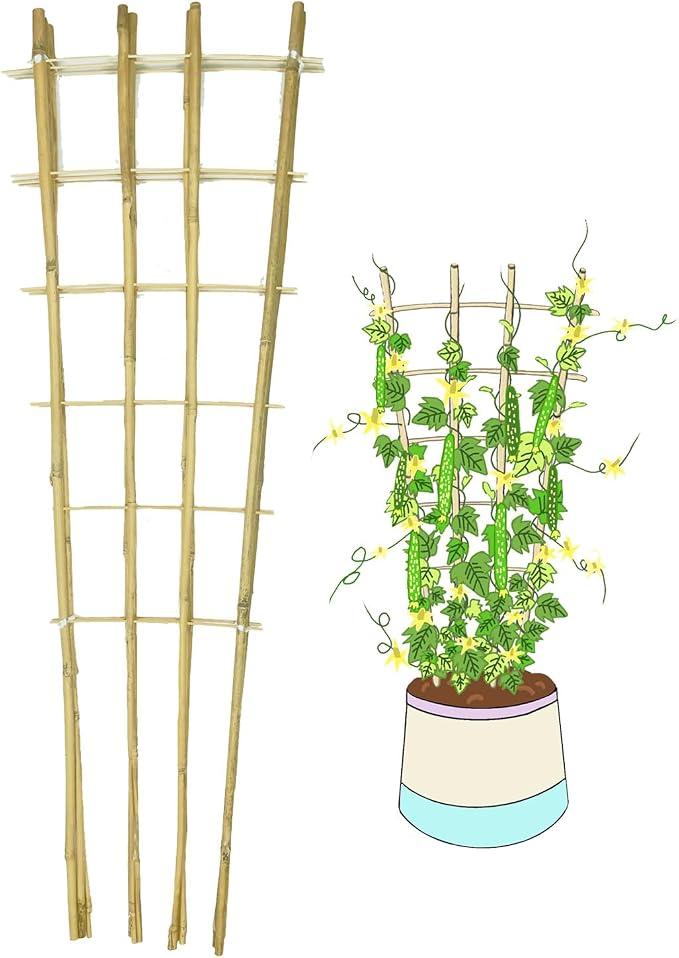 Plant Trellis for Climbing Plants, Vegetables, Cucumber, Tomato, Outdoor and Indoor Potted Plants