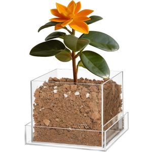 Clear Plant Nursery Pots Acrylic Orchid Pots with Drainage Holes and Tray Transparent Planter for Indoor Plants, Succulents, Herb, Flowers and Cactus Decorative(8 Inches,Square)