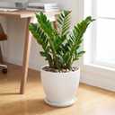 10 Inch Planter, Ceramic Plant Pots with Saucer, White