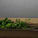 Aurlan 7.55ft Ficus Artificial Trees, Lifelike Faux Tree, Green Lush Fake Ficus Tree Artificial Plants for Office Home Living Room Indoor Outdoor Modern Decor, Perfect Housewarming Gift