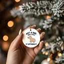 Capybara Ornament, Capybara Ornament, Capybara Gifts, Capybara Tree Decorations, Just a Girl Who Loves Capybaras Ceramic Ornaments, Capybara Decorative Hanging Ornament