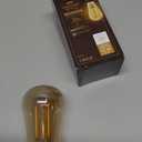 GE Vintage Style LED Light Bulb, 25 Watt, Amber Finish, ST19 Edison Style Bulb (1 Pack)