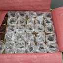 Lallisa 60 Pcs 4 Inches Small Glass Bud Vases Bulk Mini, Clear