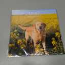 3 x 2026 Calendar, Wall Calendar 2026, Dogs 12 Month Wall Calendars (Jan - Dec 2026) 12" x 24" Opened, Hanging Monthly Calendar Thick Paper for Kids Family Adults Office Home