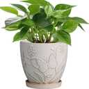 6 Inch Ceramic Plant Pot for Indoor Plants Outdoor Round Planter Flower Pot with Drainage Hole and Saucer for Home Garden Office Decor White