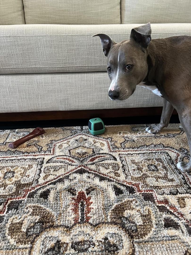 Under Couch Stop Things Going Under Sofa or Bed  Adjustable Gap Bumper for Furniture