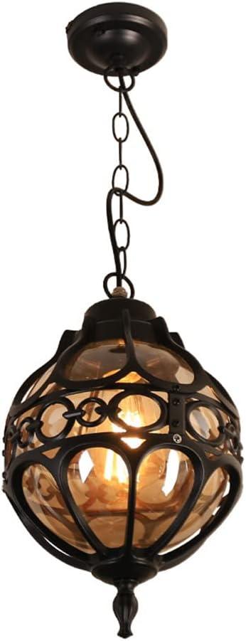 Retro Outdoor Pendant Light Industrial Vintage Outside Waterproof Ceiling Hanging Light Globe Glass Lampshade Aluminum Chandelier for Porch Garden Patio Farmhouse (Black, 27cm)