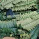 Artificial Palm Tree 30" Tall UV Resistant Tropical Areca Faux Plants Monstera Leaves Floral Arrangement Safari Leaves Party Suppliers Decorations