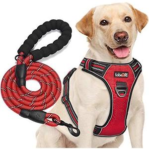 tobeDRI No Pull Dog Harness Adjustable Reflective Oxford Easy Control Large - XLarge Dog Harness with A Free Heavy Duty 5ft Dog Leash (XL (Neck: 21.5"-33", Chest: 30"-39.5"), Red Harness+Leash)