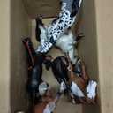 8 Pieces 6'' Plastic Horse Figure Toy Set for Girl,Big Realistic Horse Toy Figurine Farm Animal Gift for Boy Toddler Kid, Horse Party Favor Decoration Supplies Birthday Pinata