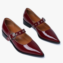 Mary Jane Shoes Women Chunky Low Heels Buckle Strap Pumps Womens Closed Pointed Toe Ballet Flats Causal Daily Dress Shoes Size 8, burgundy