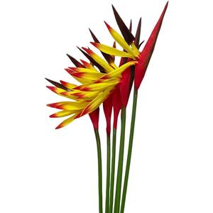 Rikyo Artificial Flowers 6Pcs Bird of Paradise 23" Permanent Flower,Strelitzia Tropical Imitation Plant Flower Bouquets for Office Home Party Decorations,Arrangement Potted Plants (Yellow)