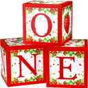 Spakon Strawberry One Balloon Boxes Shortcake Birthday Party Decorations 1st Birthday Party Supplies Strawberry Balloon Blocks Backdrop for Girl Berry First Birthday Supplies