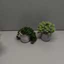 Winlyn 2 Pcs Small Potted Succulents Plants Artificial String of Pearls Aloe Hops Succulents in Black Geometric Concrete Pots for Gifts Modern Home Bathroom Window Table Indoor Outdoor Greenery Décor