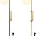 ELEHINSER Gold Wall Sconces Set of 2 with Globe Shade, Modern Indoor Plug in Wall Lamps with Switch, Angle Adjustable Light for Bedroom Living Room Study Hallway Bedside