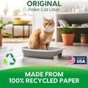 Fresh News Recycled Paper Original Pellet Cat Litter, 12 Pound, Non-Clumping, Unscented, Made in USA