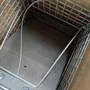 Havahart 1085 Large 1-Door Easy Set Humane Live Animal Trap for Armadillos, Cats, Groundhogs, Muskrats, Opossums, Raccoons, Skunks - Havahart Live Animal Cage Trap