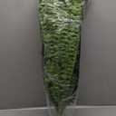 Artificial Ferns Fake Ferns Plant Artificial Ferns for Office FarmhousesGarden Indoor and Outdoor Decorations