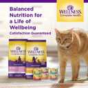 Wellness Complete Health Kitten Dry Cat Food for Indoor & Outdoor Cats, Wholesome Grains, Natural, Original Turkey, Turkey Meal and Chicken (5 Pound Bag) (EXP 03/18/26)