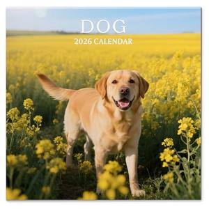 2 x 2026 Calendar, Wall Calendar 2026, Dogs 12 Month Wall Calendars (Jan - Dec 2026) 12" x 24" Opened, Hanging Monthly Calendar Thick Paper for Kids Family Adults Office Home