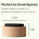 Plant Therapy Lava Rock Passive Diffuser for Essential Oils Great for Decorating at Home, Office or Car, and Gift-Giving