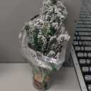 2FT Artificial Christmas Tree with Lights Green Tabletop Christmas Tree with Wooden Stand Lighted Battery Operated Snow Flocked Mini Xmas Pine Tree for Indoor Outdoor Holiday Home Decoration