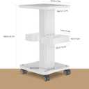 Esthetician Cart with Wheels and 2 Trays, 4 Tier Salon and Spa Equipment Trolley Carts, Beauty Machine Trolley, Load 135lbs