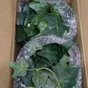 Fake English Ivy Plants in Pots Set of 2 Realistic Artificial Ivy Greenery for Home Decor, Tabletop, Office, Shelf, Balcony or Bathroom Lifelike Faux Hanging Vines, No Maintenance Required