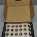 MIKKUPPA 24pcs M14x1.5 Lug Nuts - Replacement for 1999-2022 Chevy Silverado 1500, 2012-2022 Suburban, 2000-2022 GMC Yukon, 2012-2022 Ram 1500 2500, 7/8" Hex Chrome Closed End OEM Lug Nuts