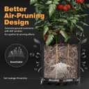 Patigrow Self-Watering Grow Bags, 5-Pack 3 Gallon 420G Thick Nonwoven Fabric Pots with Reinforced Handles and Multi-Purpose Rings, for Low Stress Plant Training Fruits, Vegetables,and Flowers